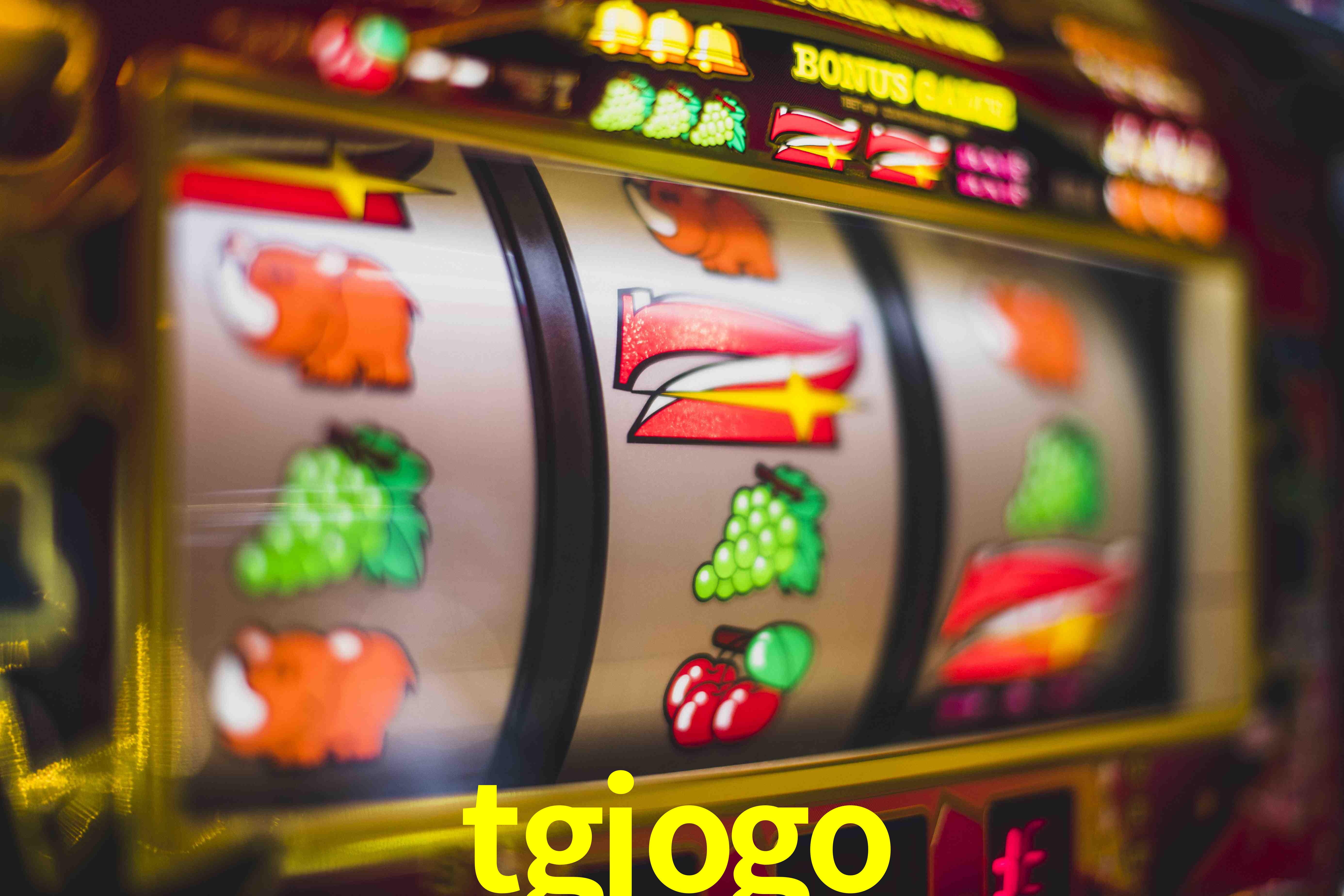 Football Betting tgjogo